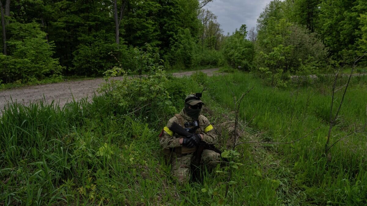    Украинский военнослужащий на востоке Харьковской области© AP Photo / Bernat Armangue