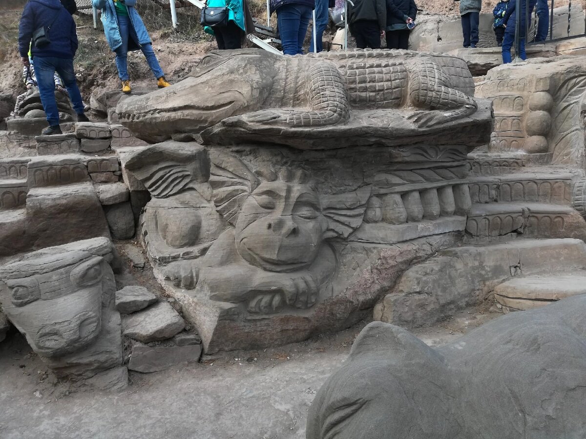 Дракоша и 🐊 