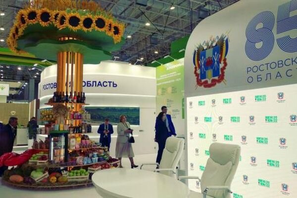 Источник фото: Пресс-служба правительства Ростовской области