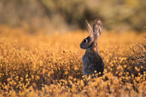    Фото :ru.freepik.com