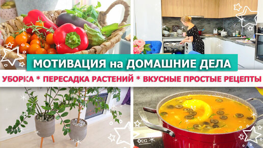 🔥 МОТИВАЦИЯ НА ДЕЛА по ДОМУ🧹УБОРКА дома🌱ПЕРЕСАДКА комнатных РАСТЕНИЙ 🍅🍆 ОГОРОДА НА БАЛКОНЕ - Урожай УДИВЛЯЕТ!😲😋 ОВОЩНОЙ СУП с фасолью