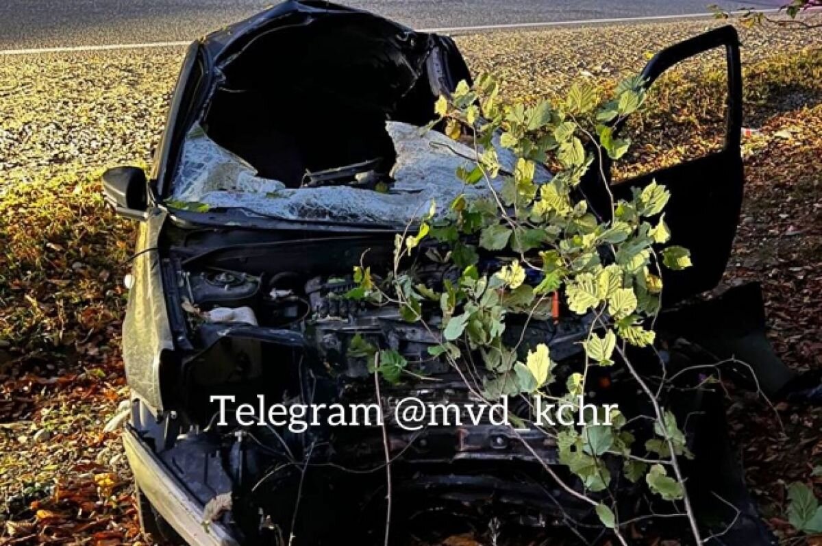    В КЧР водитель сбил одинокую лошадь и попал в больницу