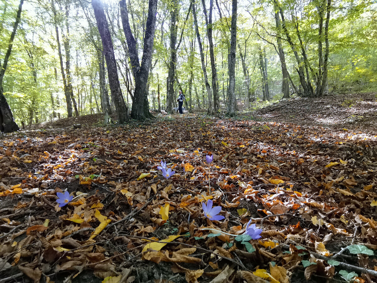 Целая Полянка.