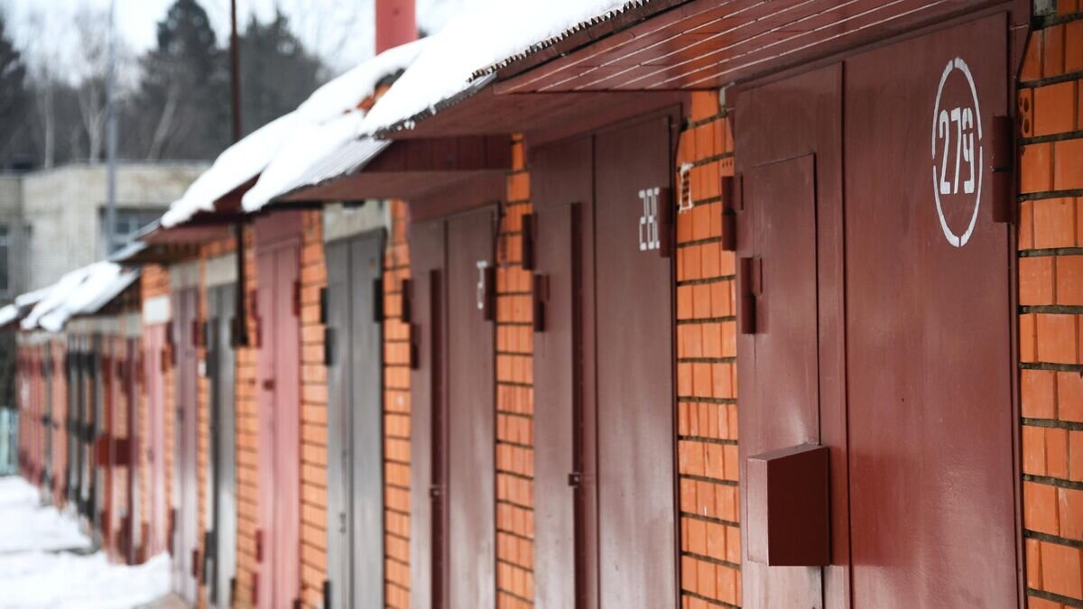    Частные гаражи в Москве© РИА Новости / Кирилл Каллиников