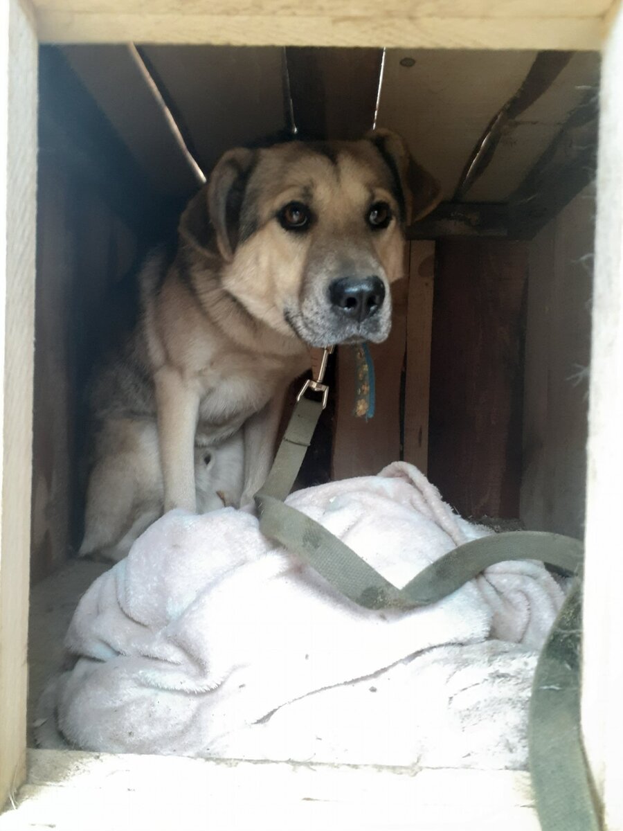 Смотрите какой он славный 😍