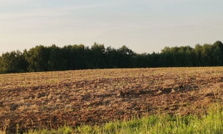    Самое частое нарушение по пестицидам в 2022 году назвали эксперты Россельхознадзора по Орловской и Курской областям