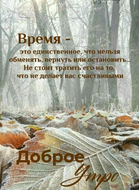 Фото из открытого источника