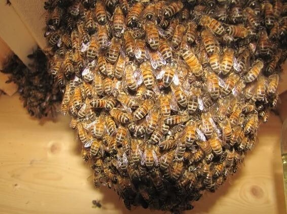   ,           .            .-6