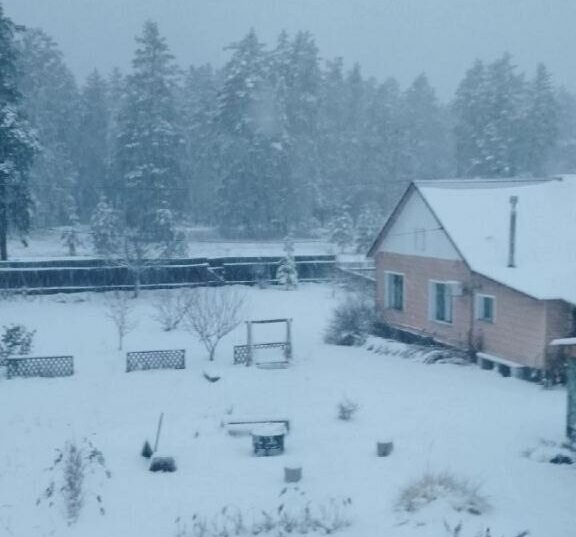    Оренбургскую область накрыл первый в этом году снегопад Белов Михаил Александрович