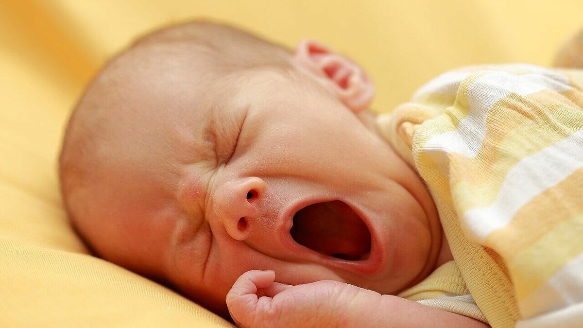     Из-за ошибок медиков во время родов семья из Ставрополья потеряла своего первенца и возможность стать родителями естественным путем. Для исполнения заветной мечты паре пришлось воспользоваться услугами суррогатной матери, а после выставить счет Железноводской горбольнице, передает NewsTracker