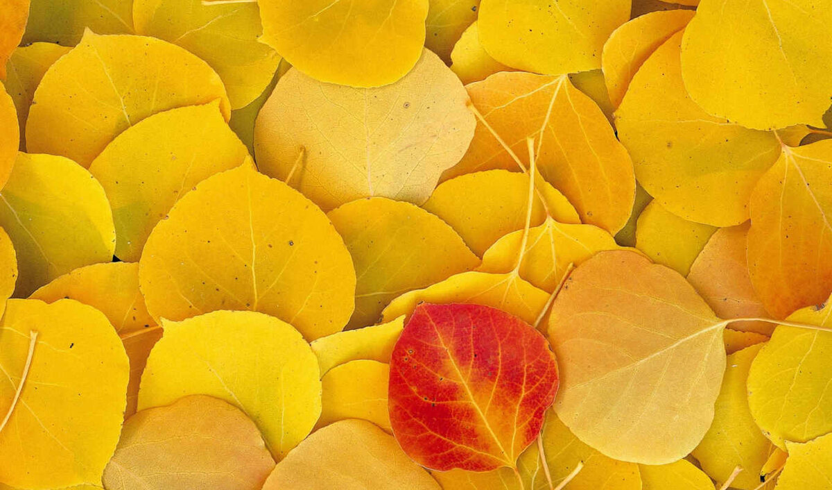  ,  ,   . , , ,   .        .-11