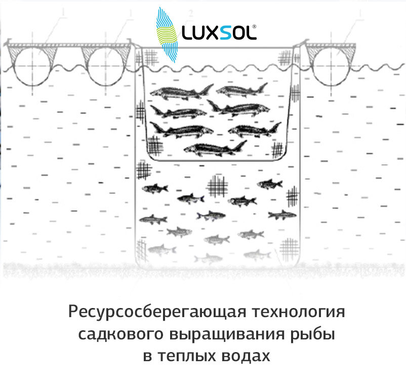 Ресурсосберегающая технология садкового выращивания рыбы в теплых водах
