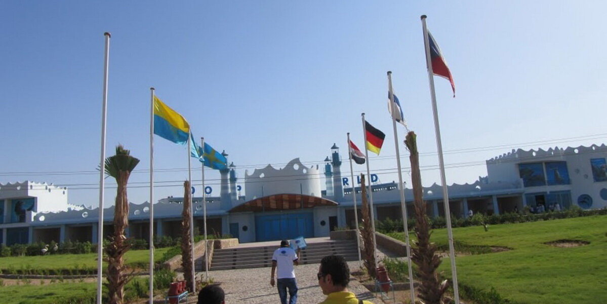 Дельфинарий Dolphin World