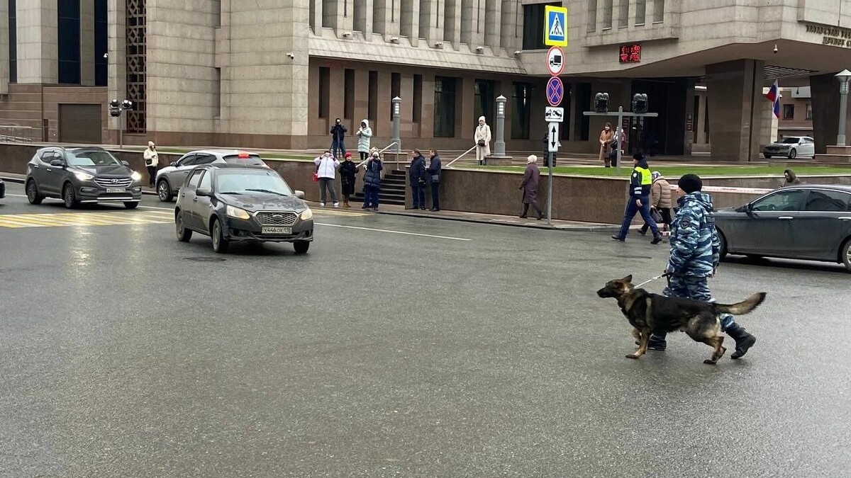     К зданию Верховного суда Татарстана в Казани приехали кинологи. Об этом сообщил корреспондент Inkazan.