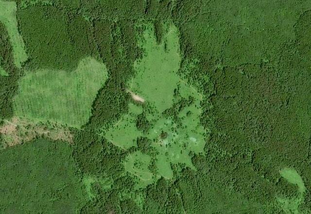 Пахтино на Яндекс.Карте (58.639741, 42.984065) 