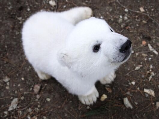    Фото ://ria.ru // Виталий Тимкив