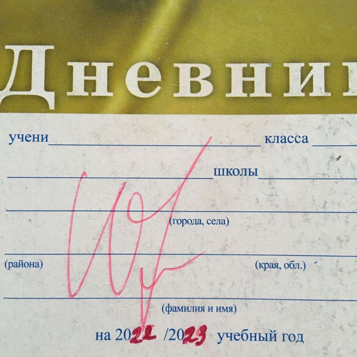 До сих пор веду дневник, а некоторые дети уже в 8 классе не хотят