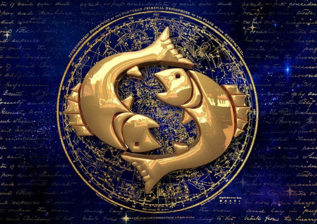 Изображение взято из Интернета.