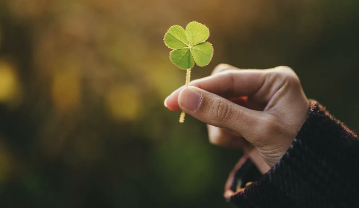 Что такое удача с точки зрения науки и психологии