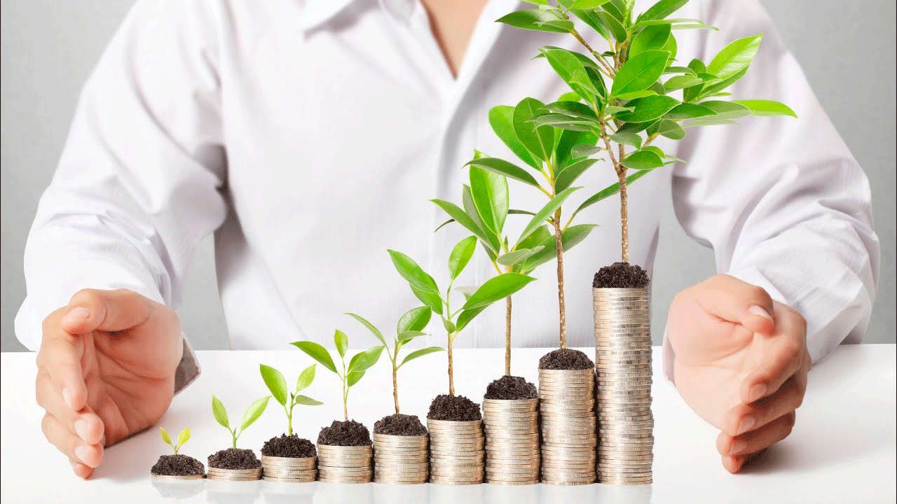 фото взято из открытых источников