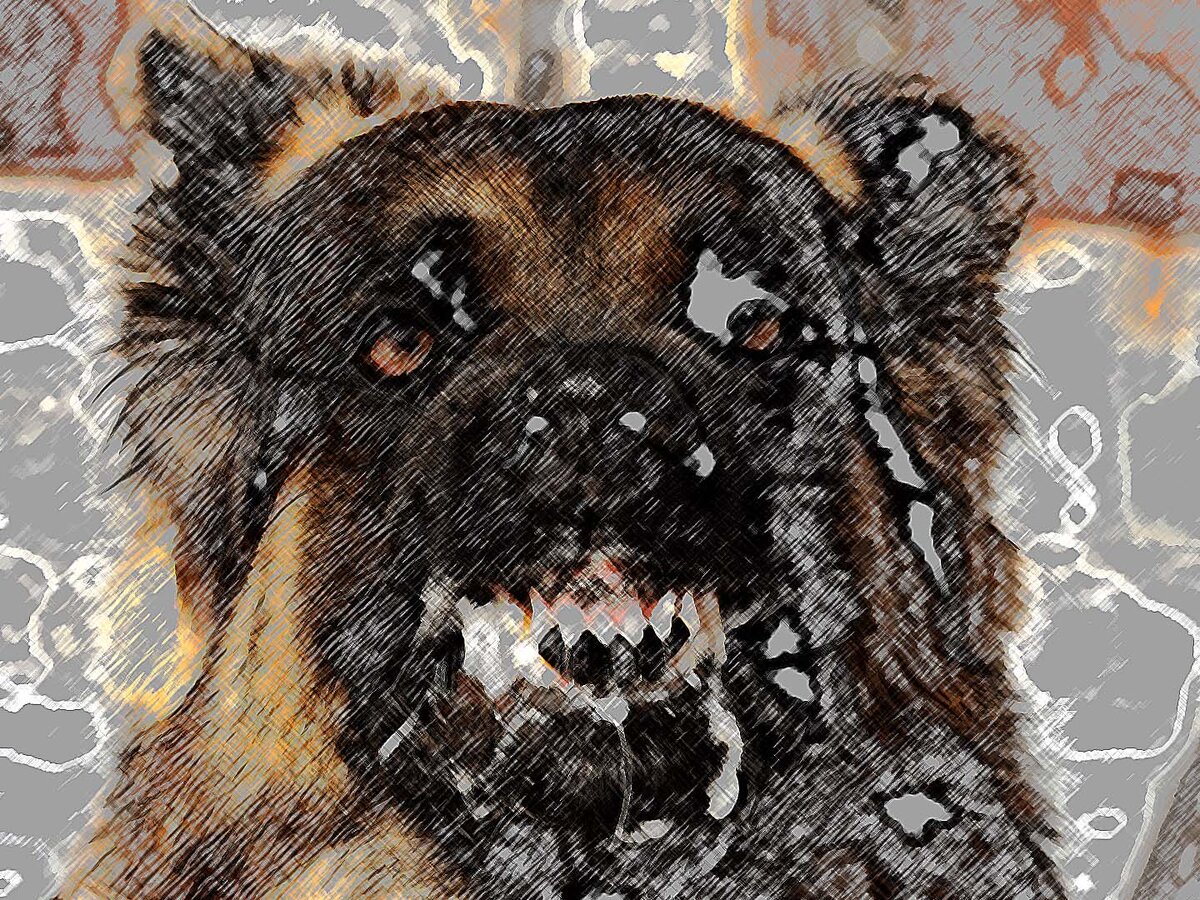 Фото обработано в графическом редакторе. по закону о СМИ это не является заимствованием или воровством. Это самостоятельное произведение искусства.