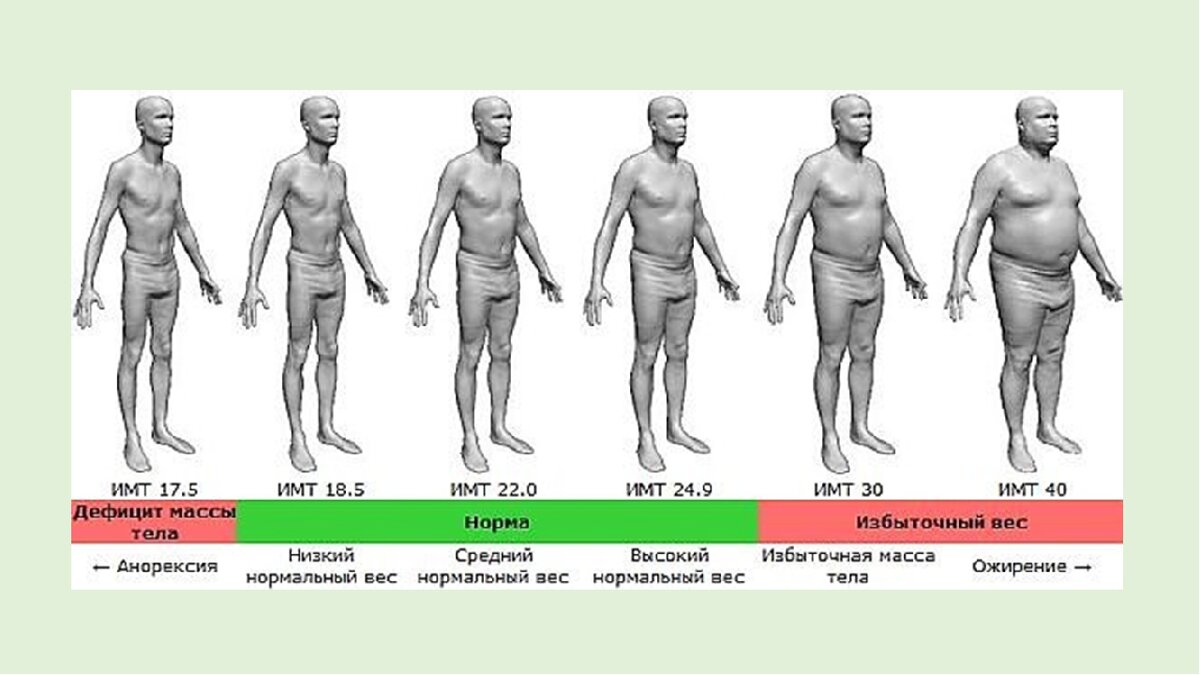 Каким должен быть взрослый человек. Дефицит веса. Талия у мужчин норма. Выраженный дефицит массы тела. Нормальный обхват талии у мужчин.