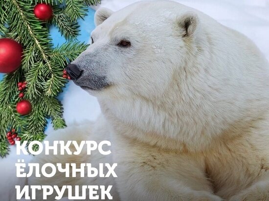     фото новосибирского зоопарка