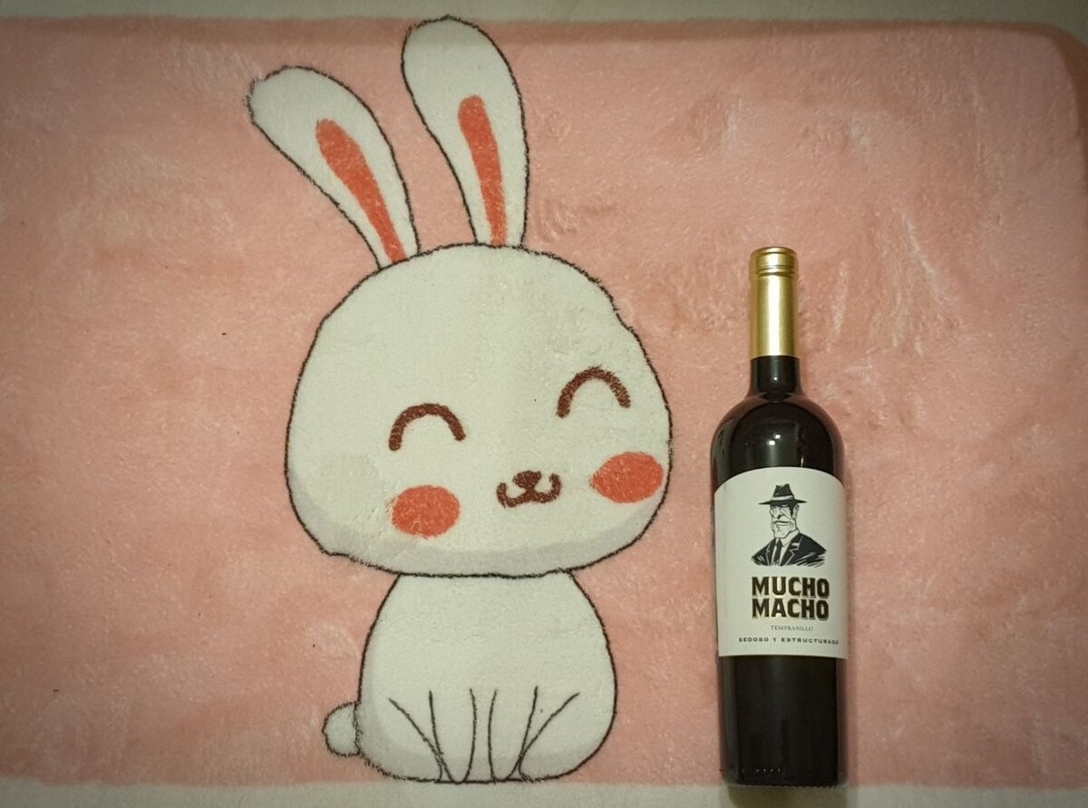 Испанское вино Mucho Macho