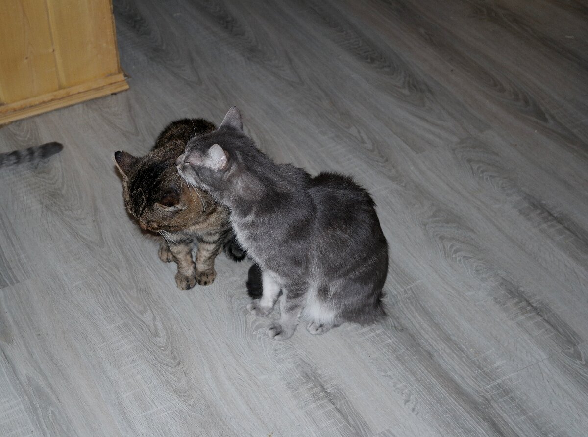 Фото из домашнего архива