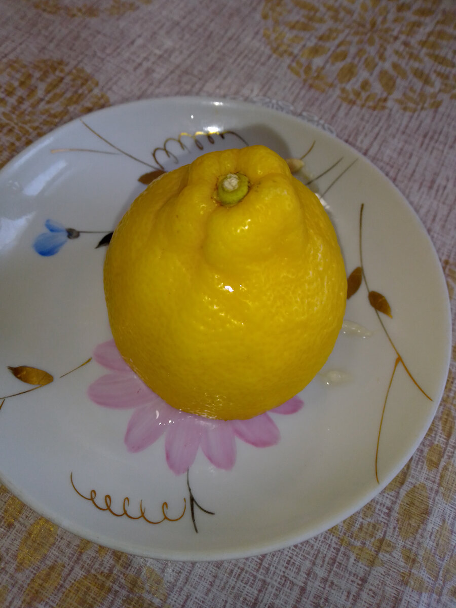 Мышка из лимона