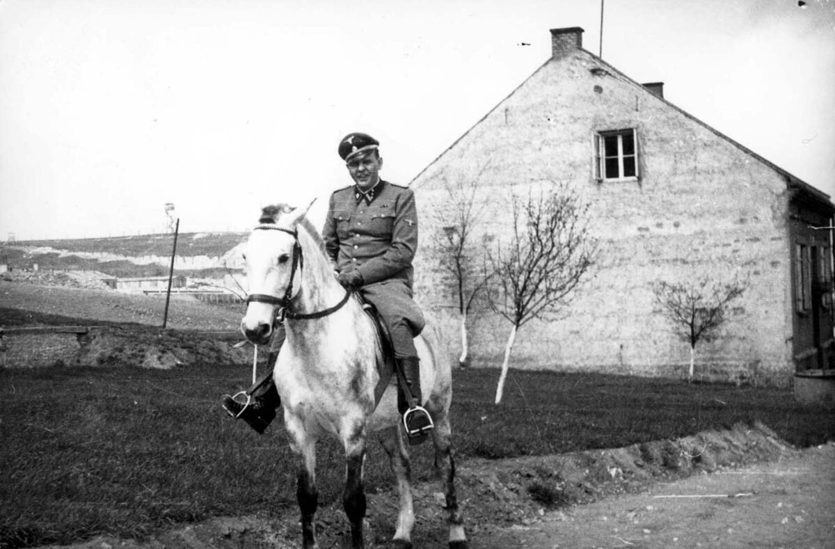 Амон Гет сделал карьеру в структуре СС. занимавшейся истреблением евреев