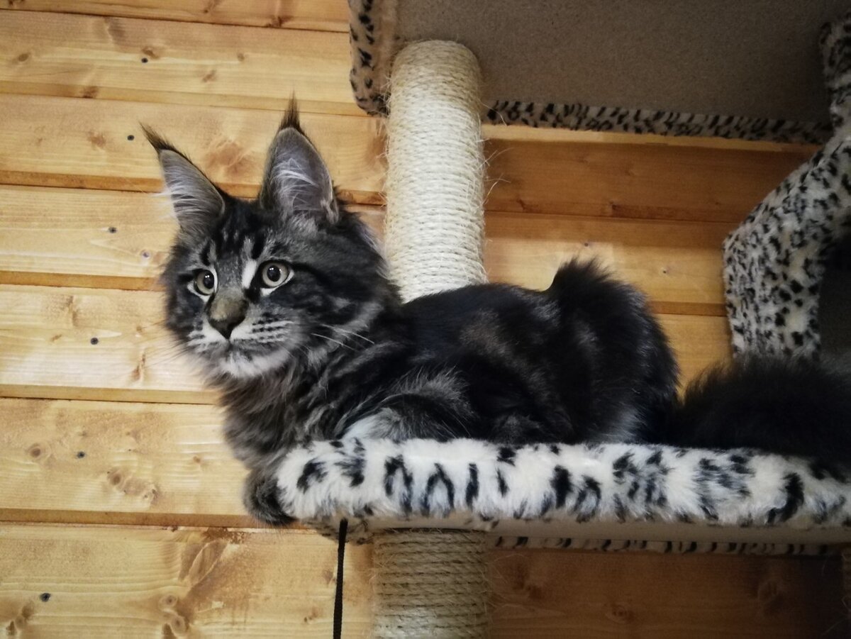 Фото из личного архива.