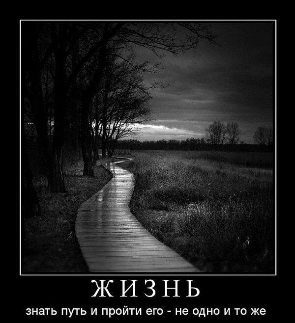 взято в свободном доступе в интернете