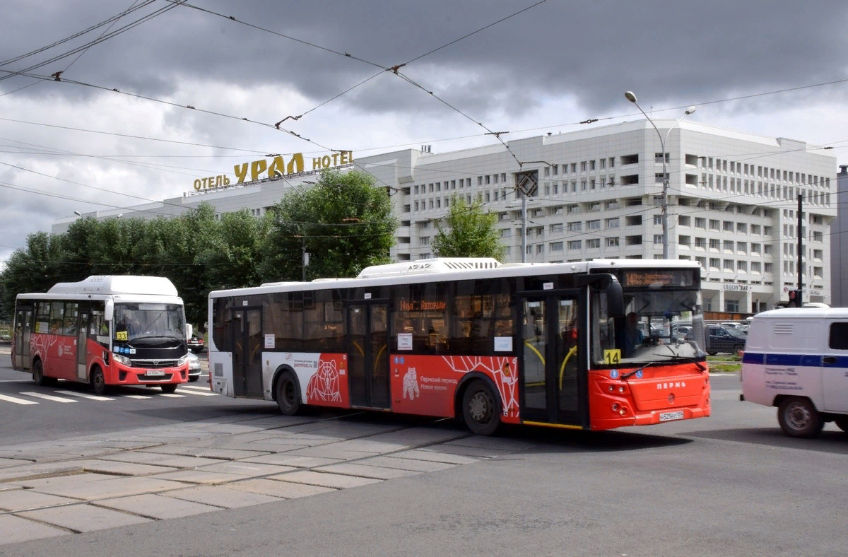 Пермь севастополь. 13 Автобус Пермь. 6 Автобус Пермь. 14 Автобус Пермь. Пермь 300 автобус.