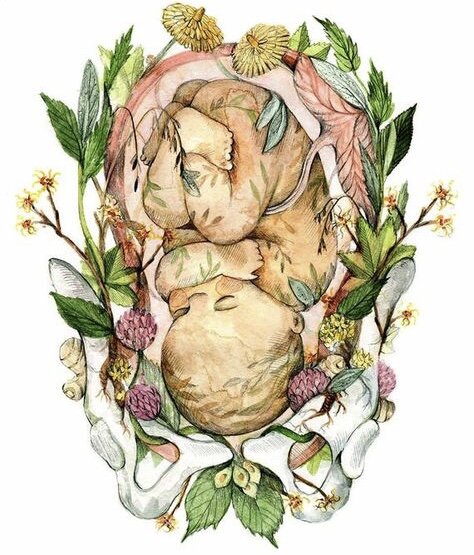 Картинка из свободного доступа.