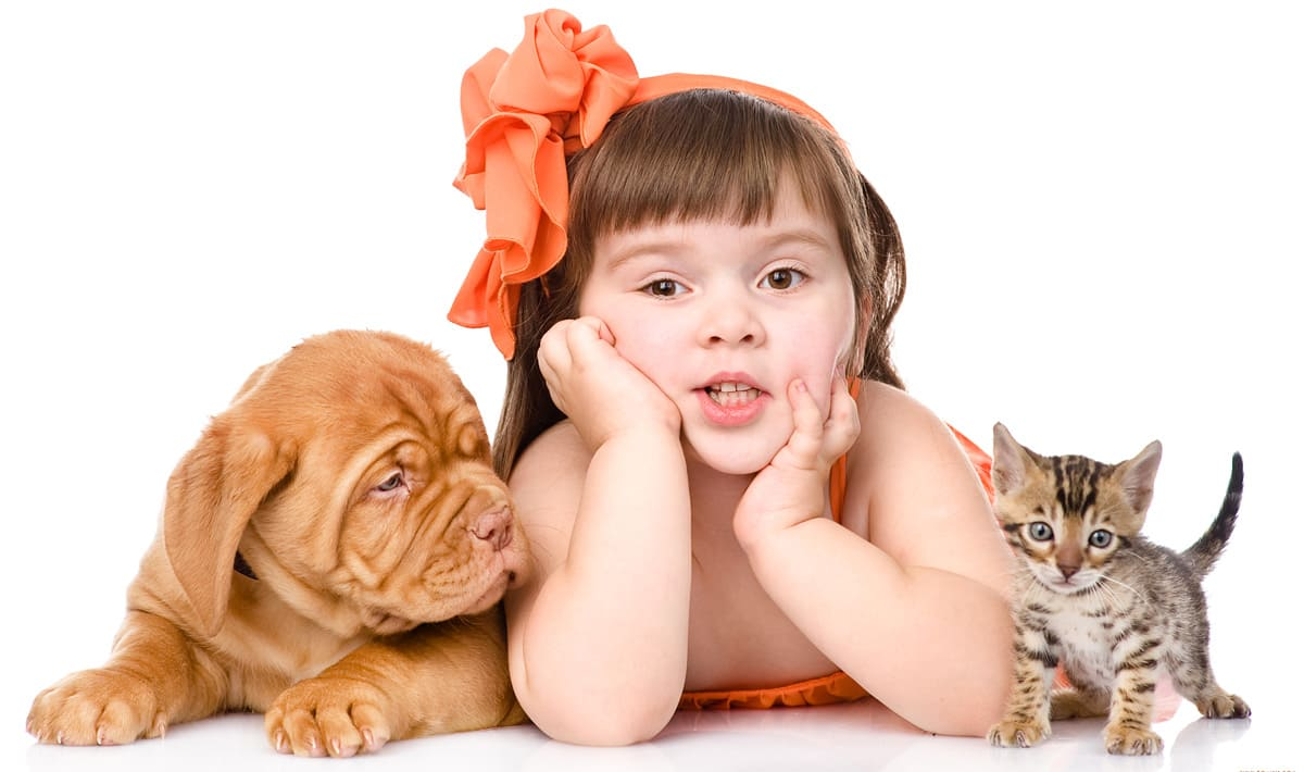 Дети и домашние животные: за и против. Как выбрать друга?