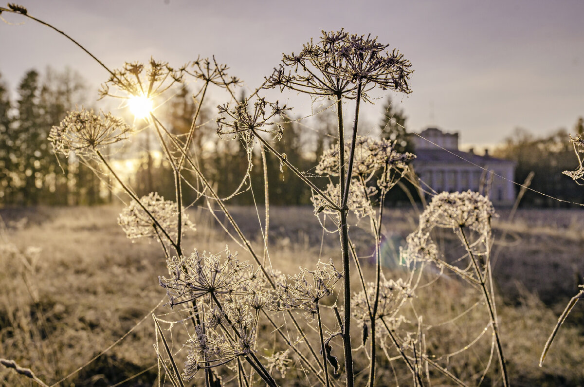 Картинка для привлечения внимания