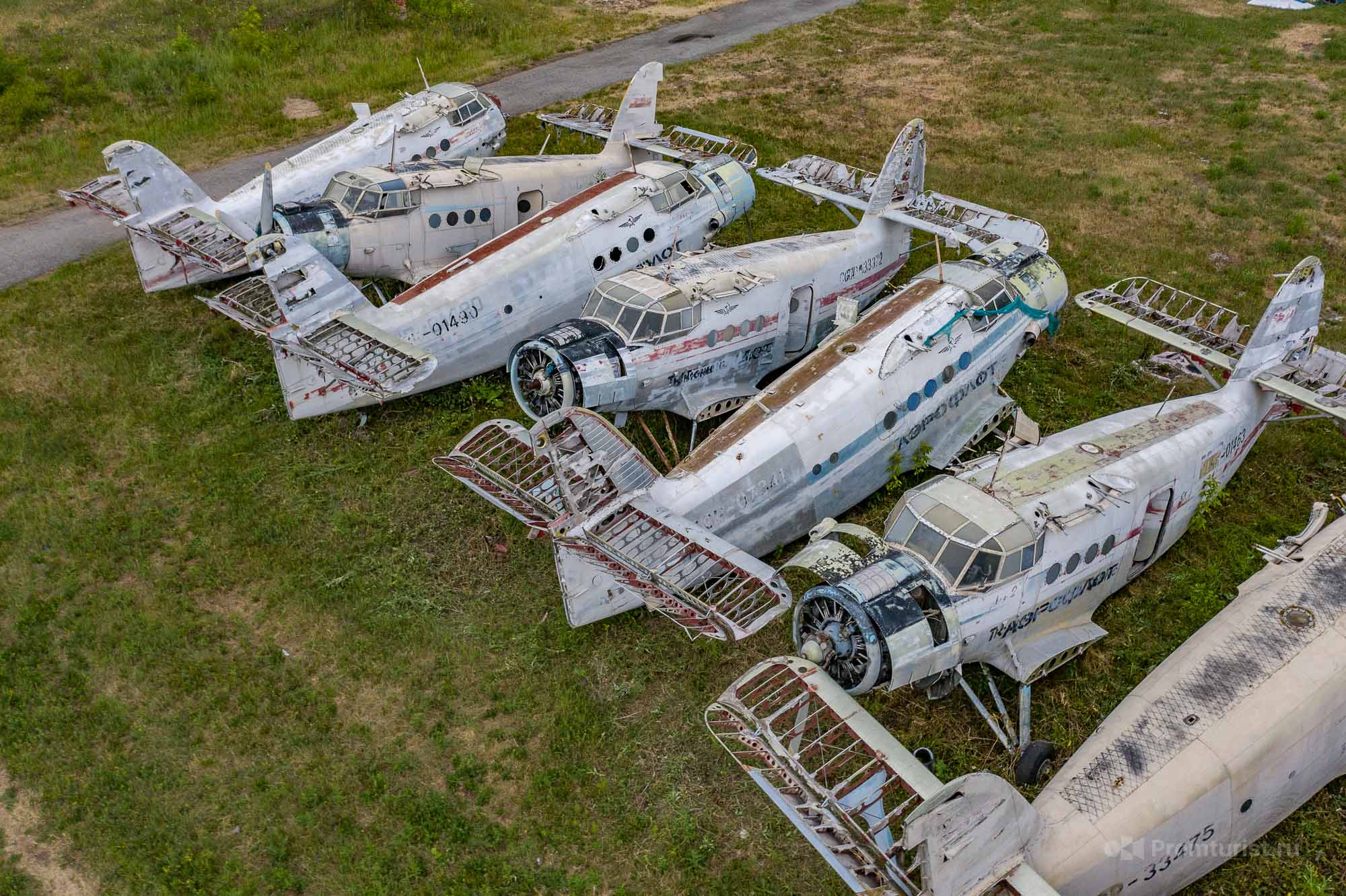 Нашёл за гаражами аккуратное кладбище самолётов Ан-2. Красиво конечно, но много вопросов ✈️⚰️?8
