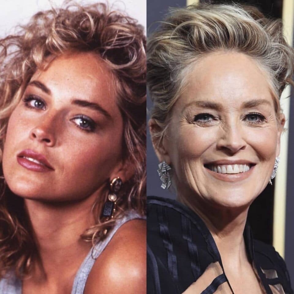 Шэрон Стоун — американская актриса, продюсер и модель. Лауреат премий «Золотой глобус» и «Эмми», номинантка на премию «Оскар».