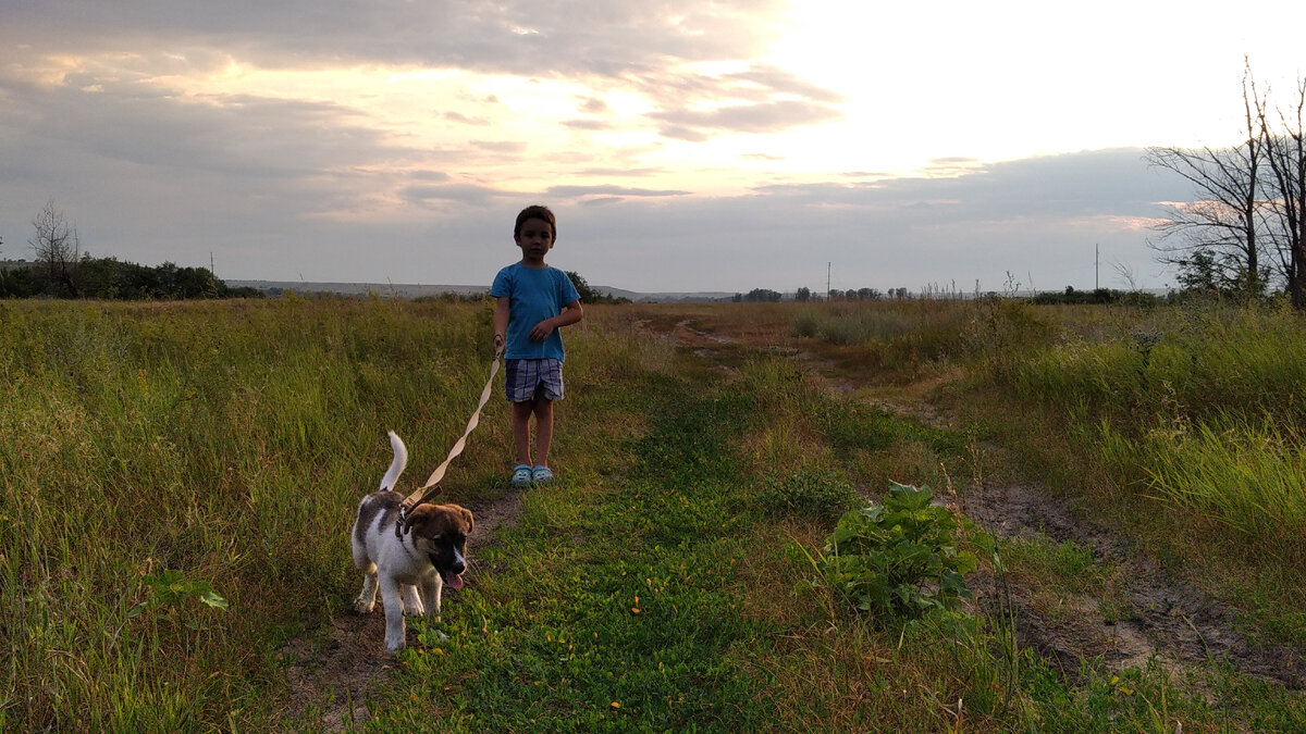 Фома и Гамс. 