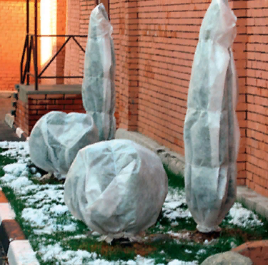 источник:яндекс картинки 