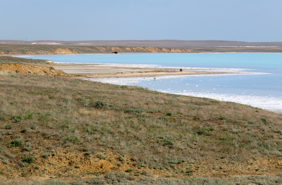 Индер. Индер и кульсары. Озеро индер казахстан. Озеро индер. Гора ичка западный казахстан.