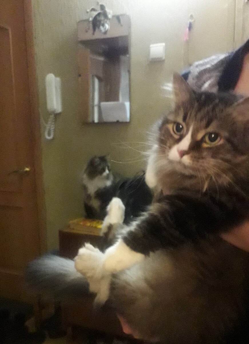 Ну очень похожи!