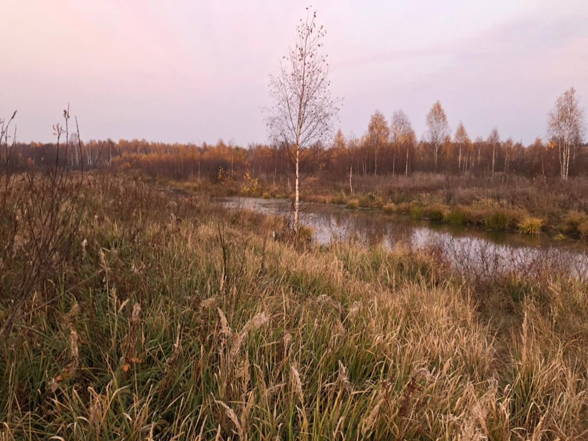 Где искать утку в глухой сезон?