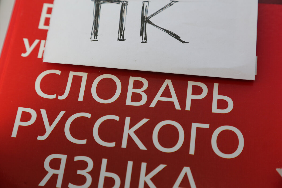 Для новой политкорректной литературы нужен новый политкорректный словарь