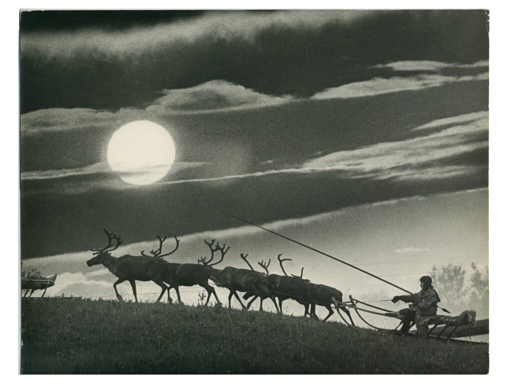 Лето в Тундре. Калестин Коробицын, 1950–1969 годы, архив Валентина и Андрея Туркиных.