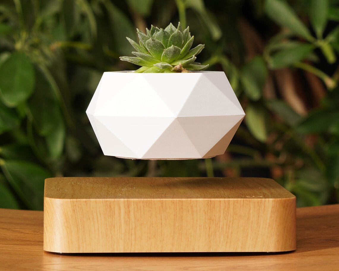 Левитирующий горшок "Деревянный". Бук