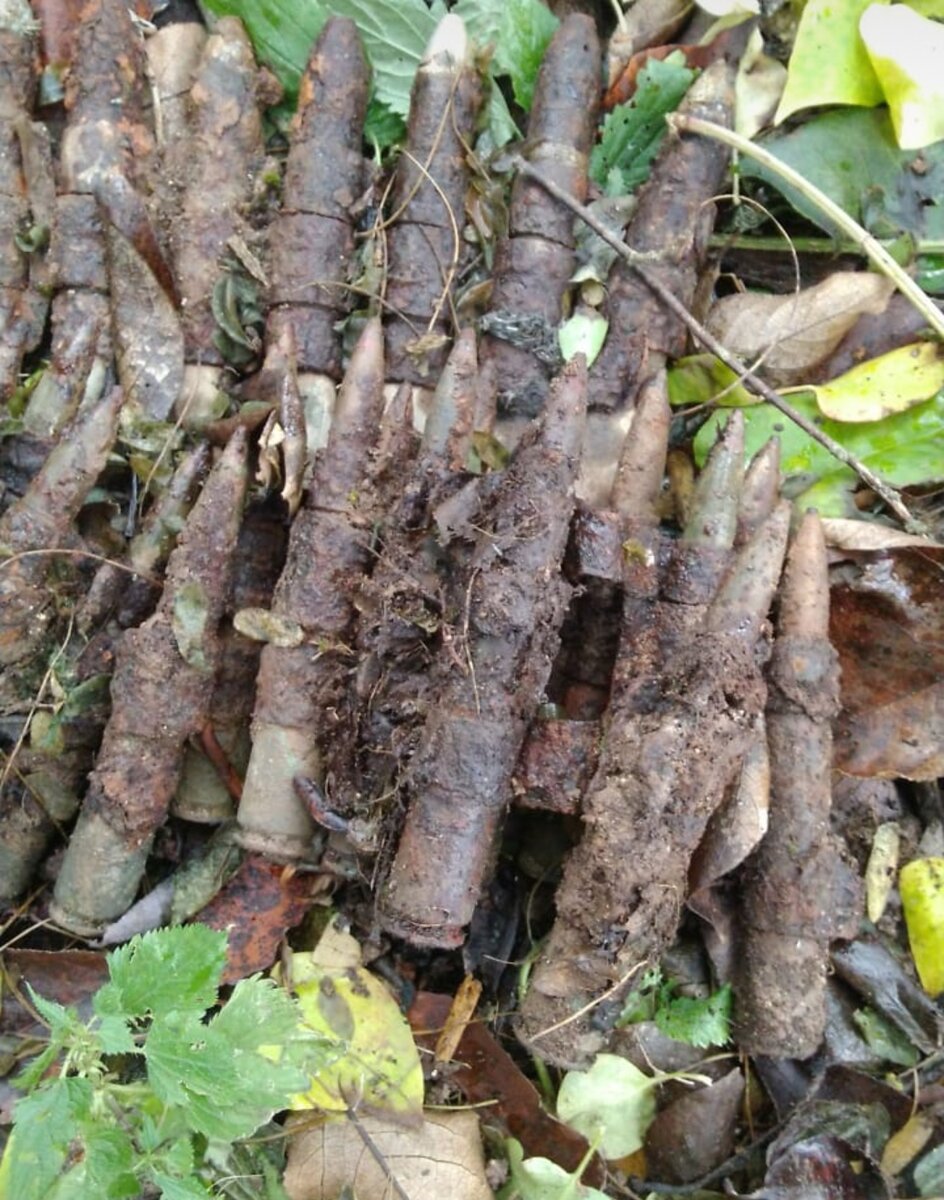 Швак и шкас боеприпасы (листай галерею)