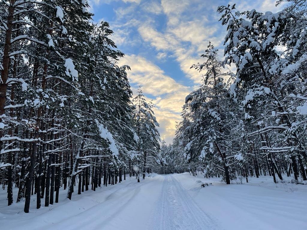 Фото автора