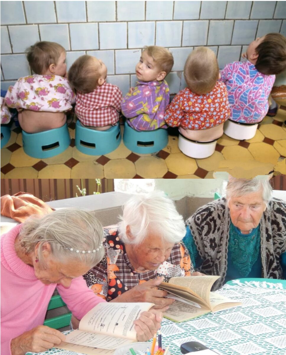 Коллаж автора. 